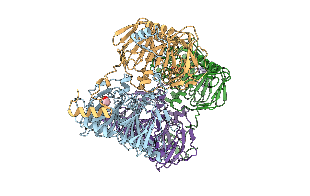 2PHD image