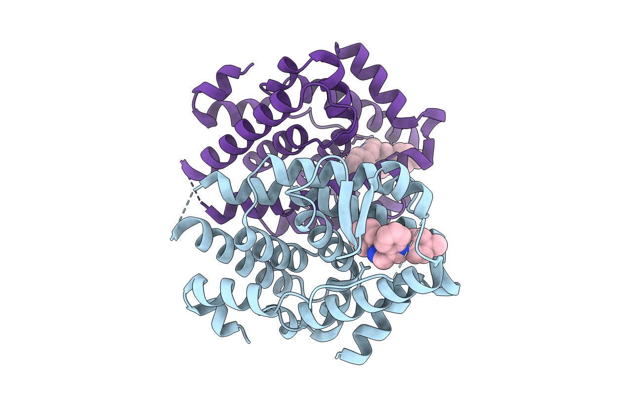 2PJL image