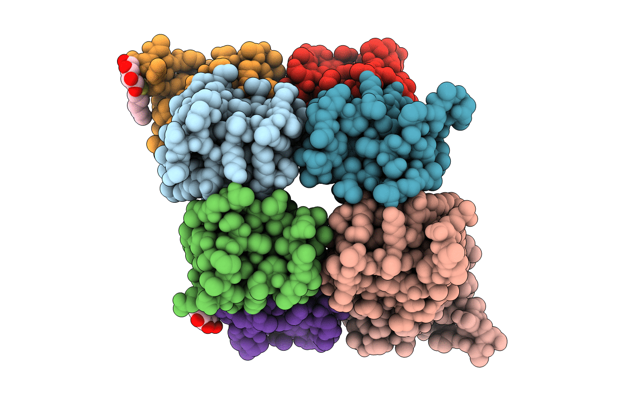 2PL6 image