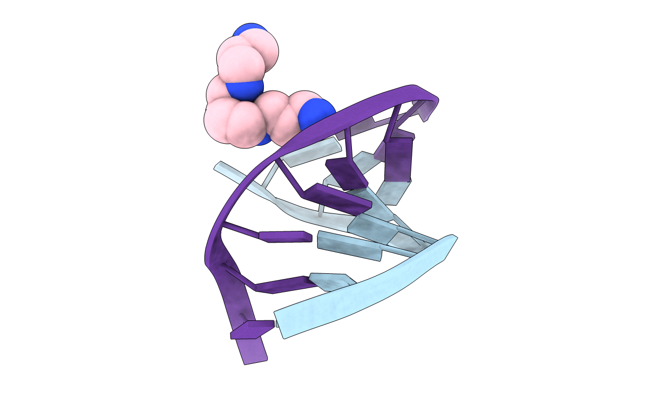 2PLB image