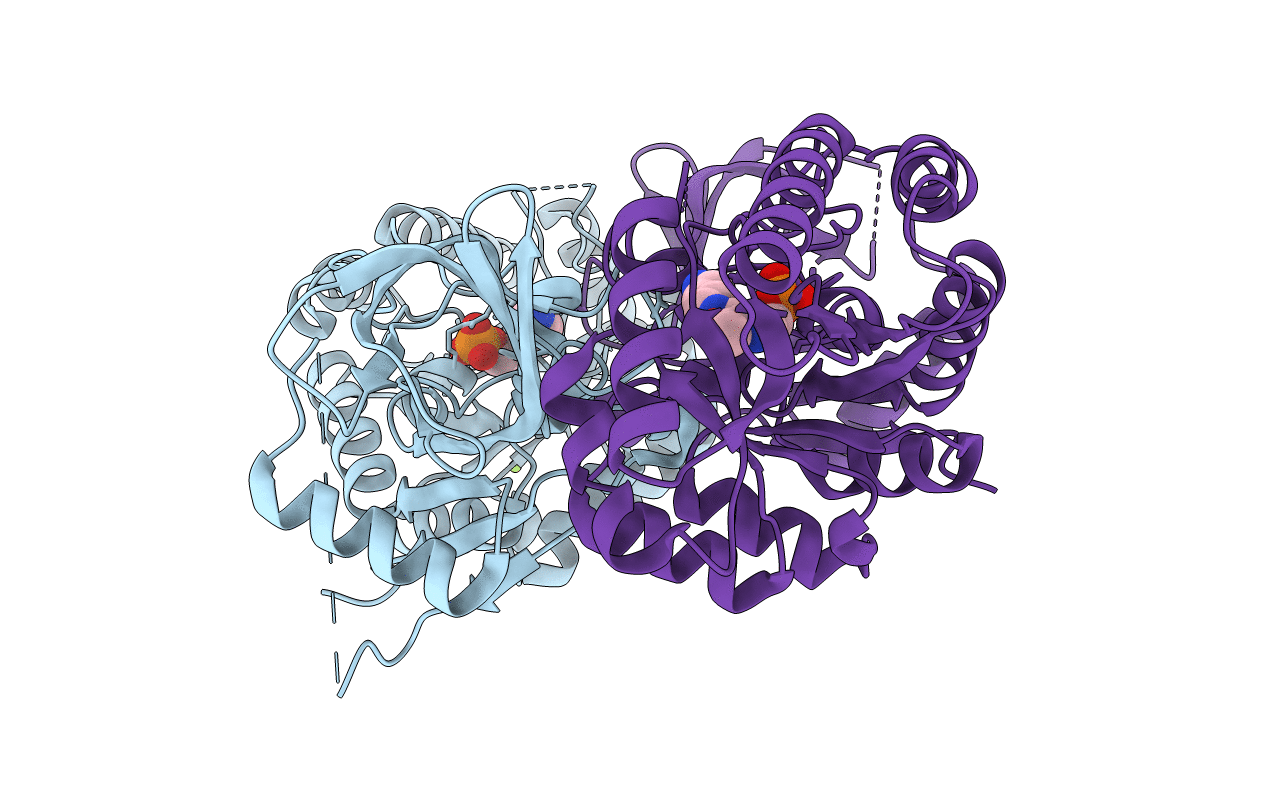 2PLJ image