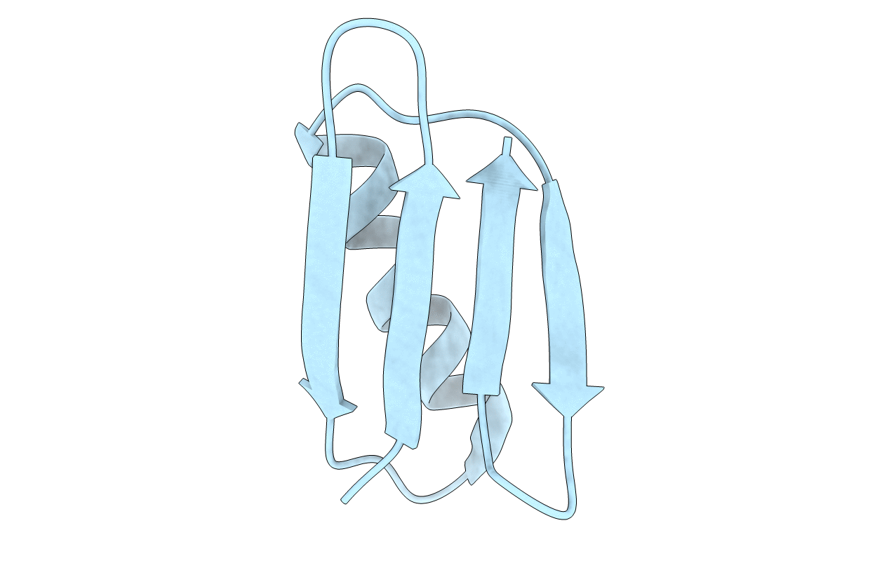 2PLP image