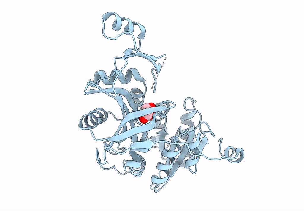 2PN1 image