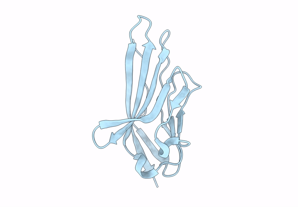 2PND image