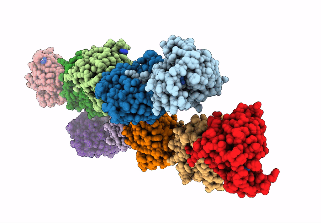 2PNL image