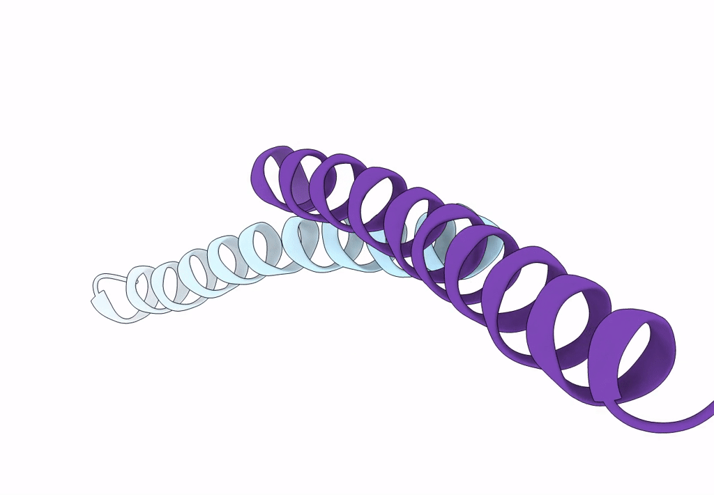 2PNV image