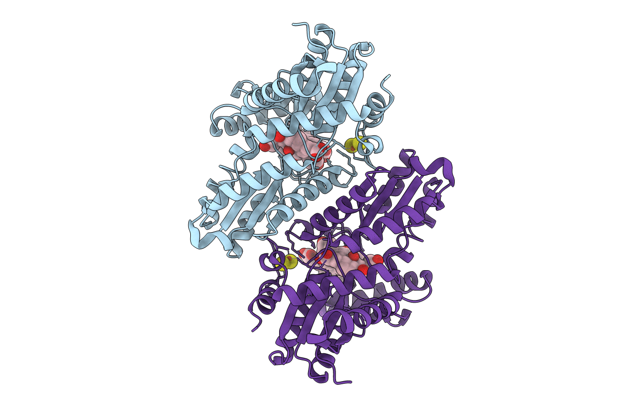 2PO5 image