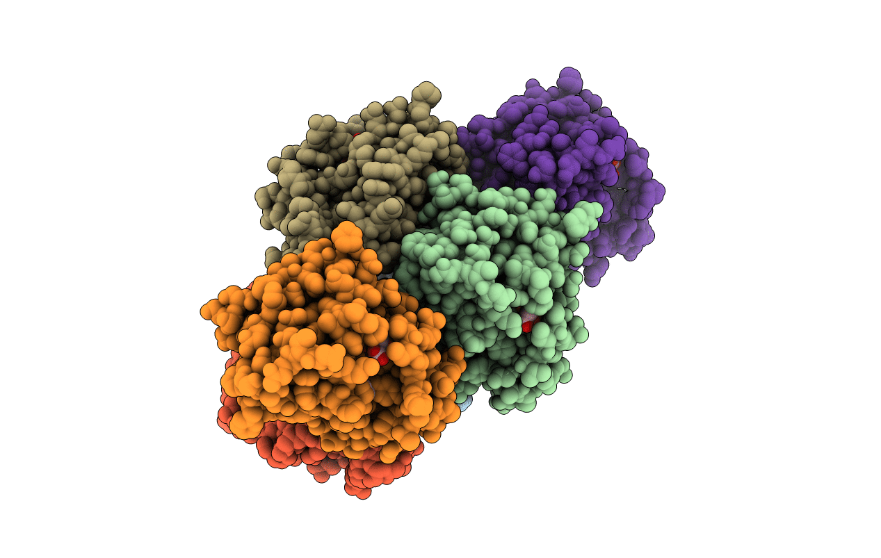 2PQF image