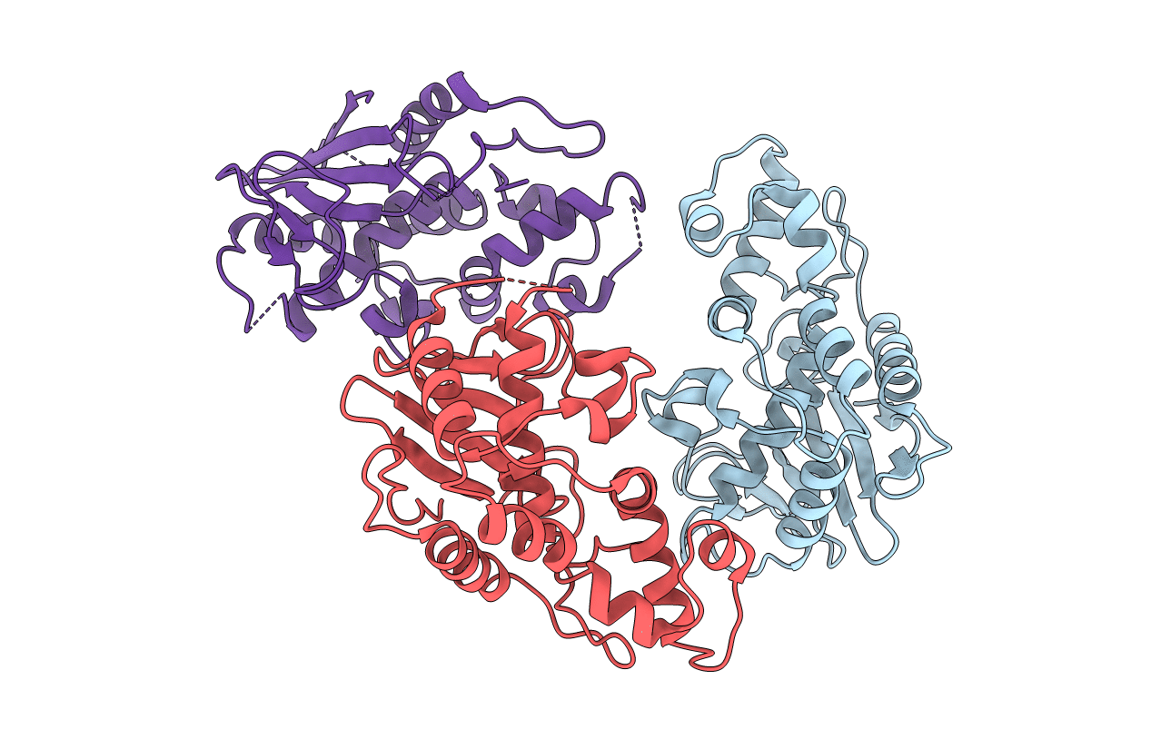 2PQI image