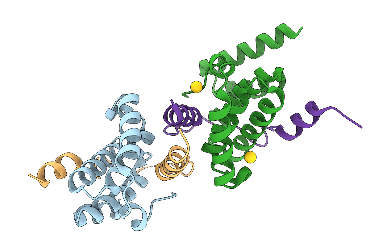 2PQR image