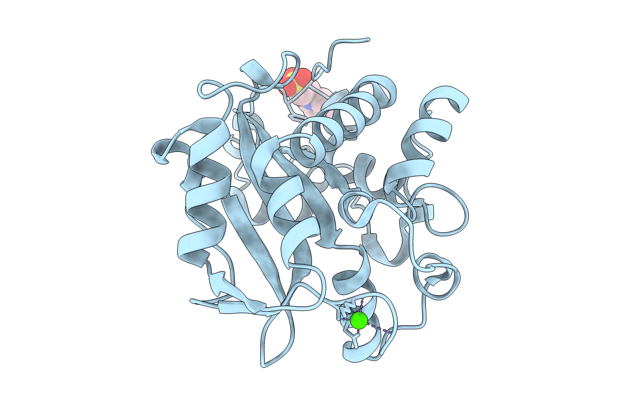 2PQX image