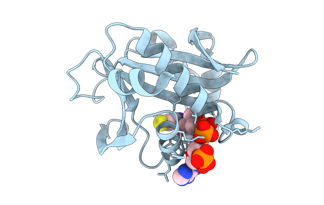 2PRB image