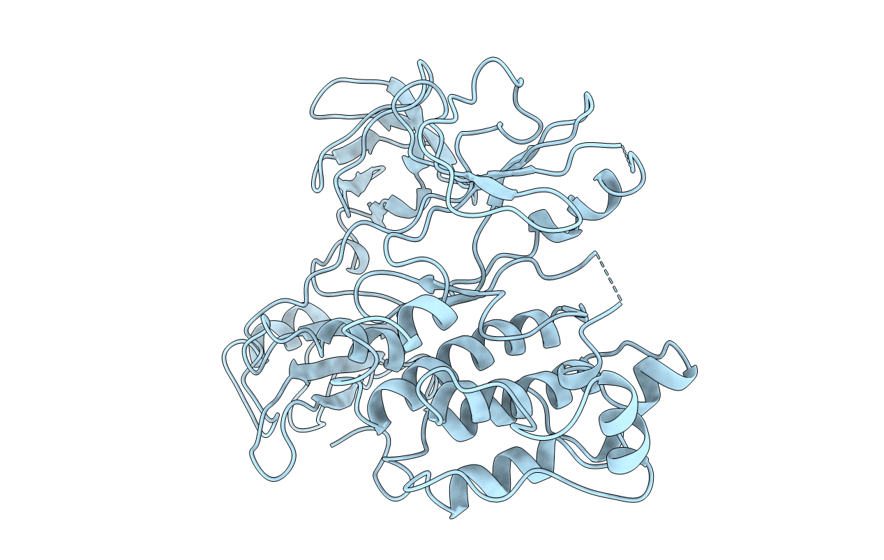 2PTK image