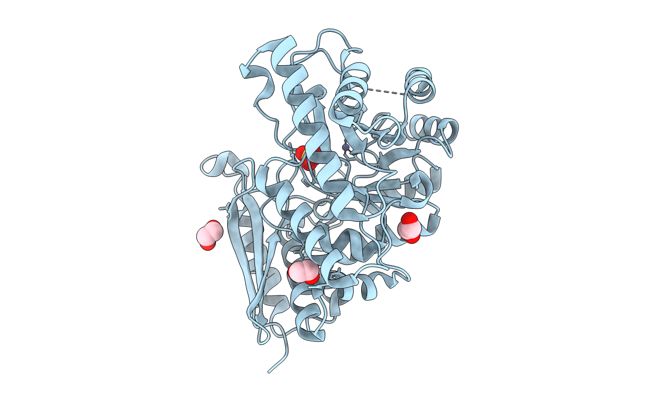 2PTW image