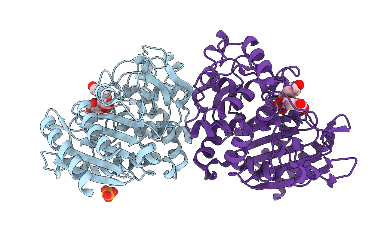 2PU2 image