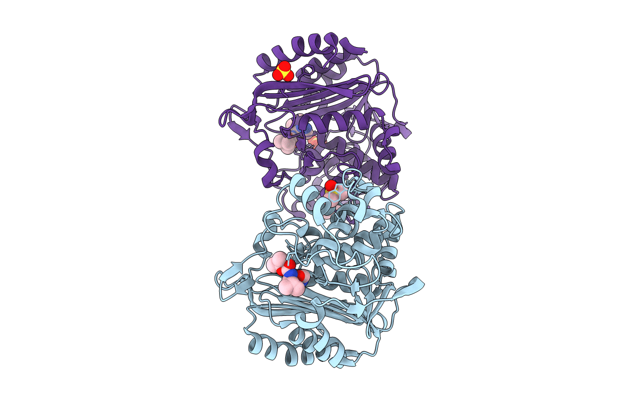 2PU4 image