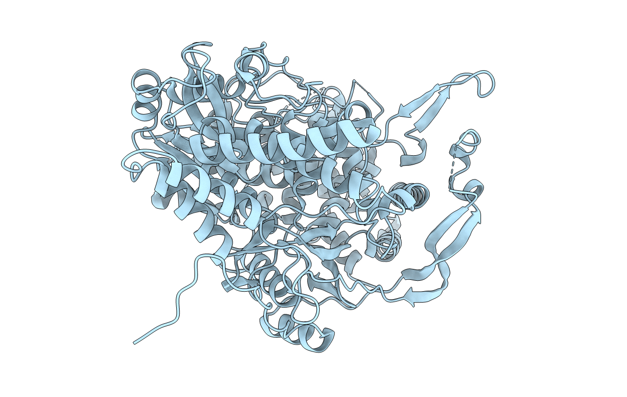 2PUS image