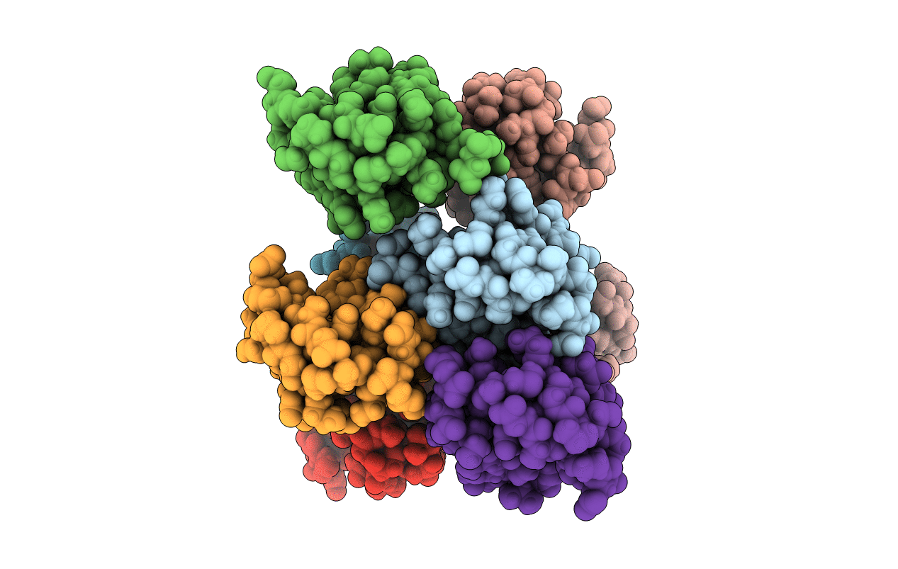 2PVX image