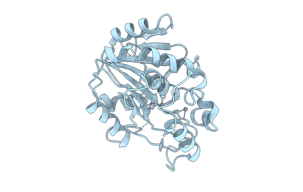 2PW6 image