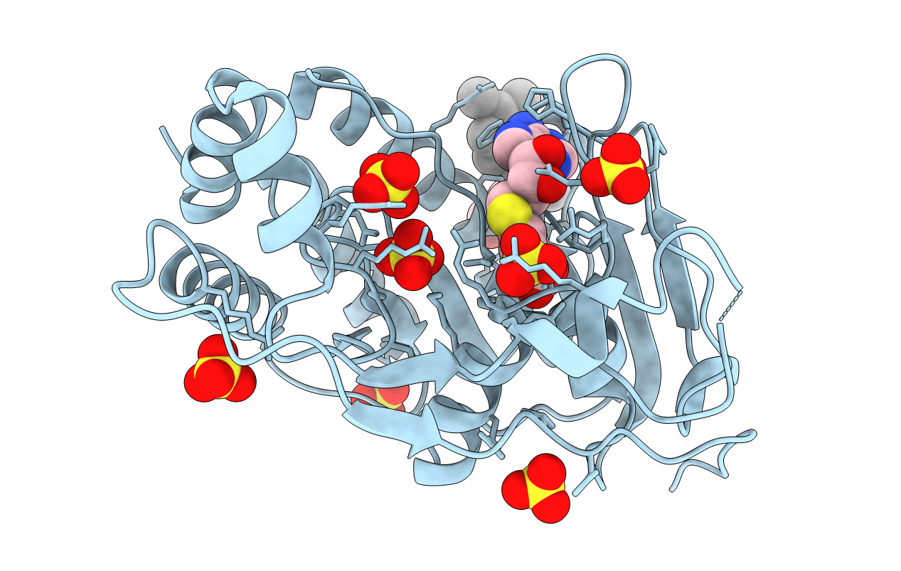 2PX4 image