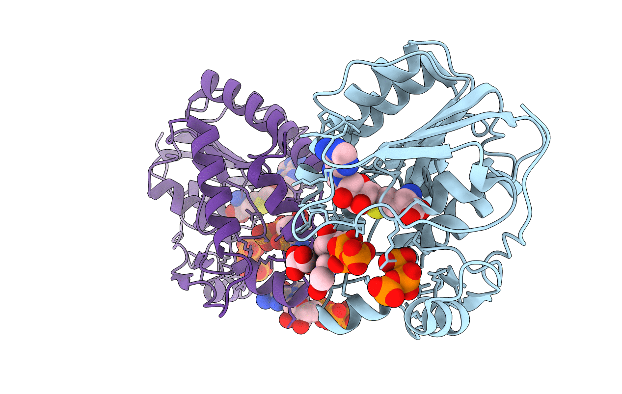2PX8 image