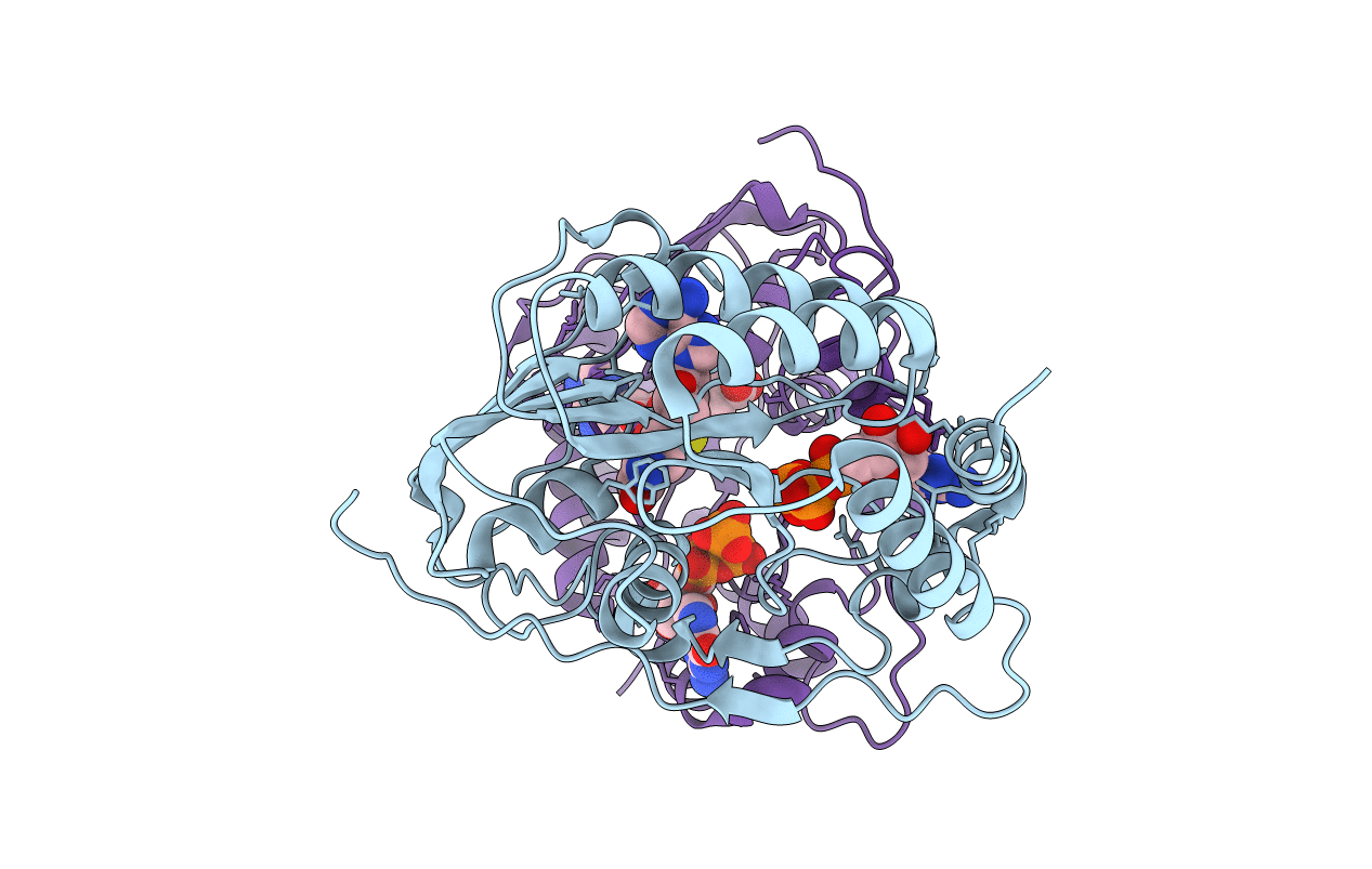 2PXA image