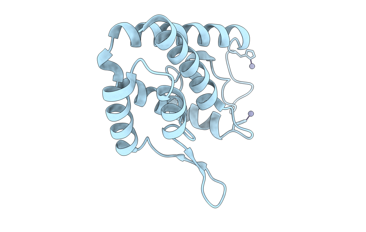 2PXR image