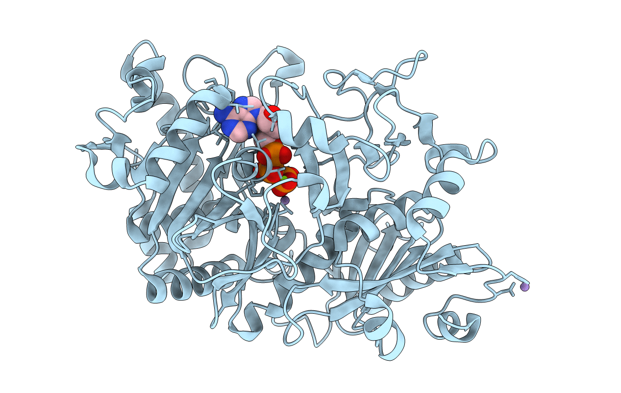 2PY7 image