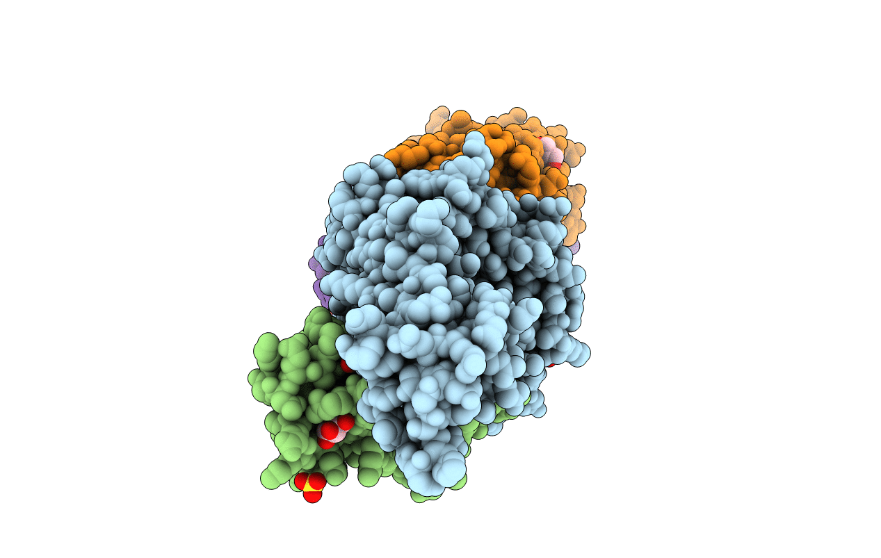 2PYE image
