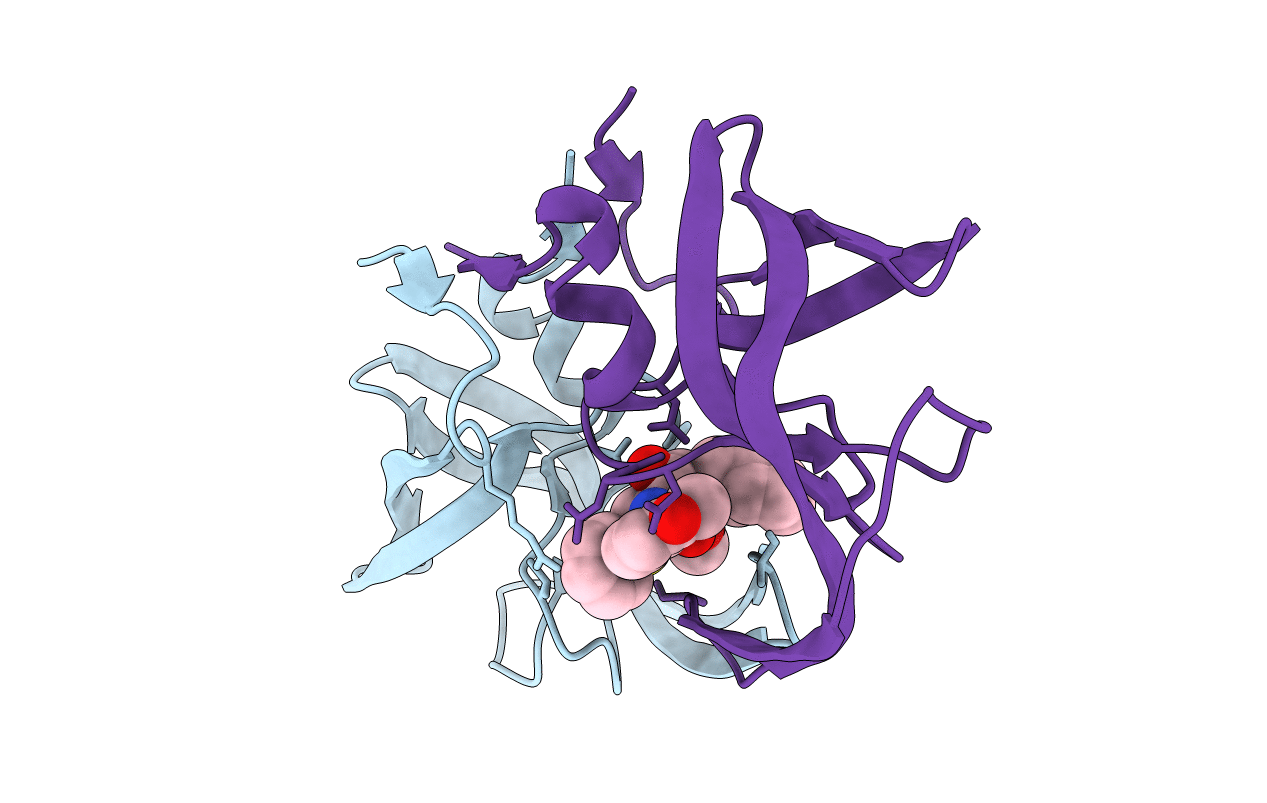2PYM image