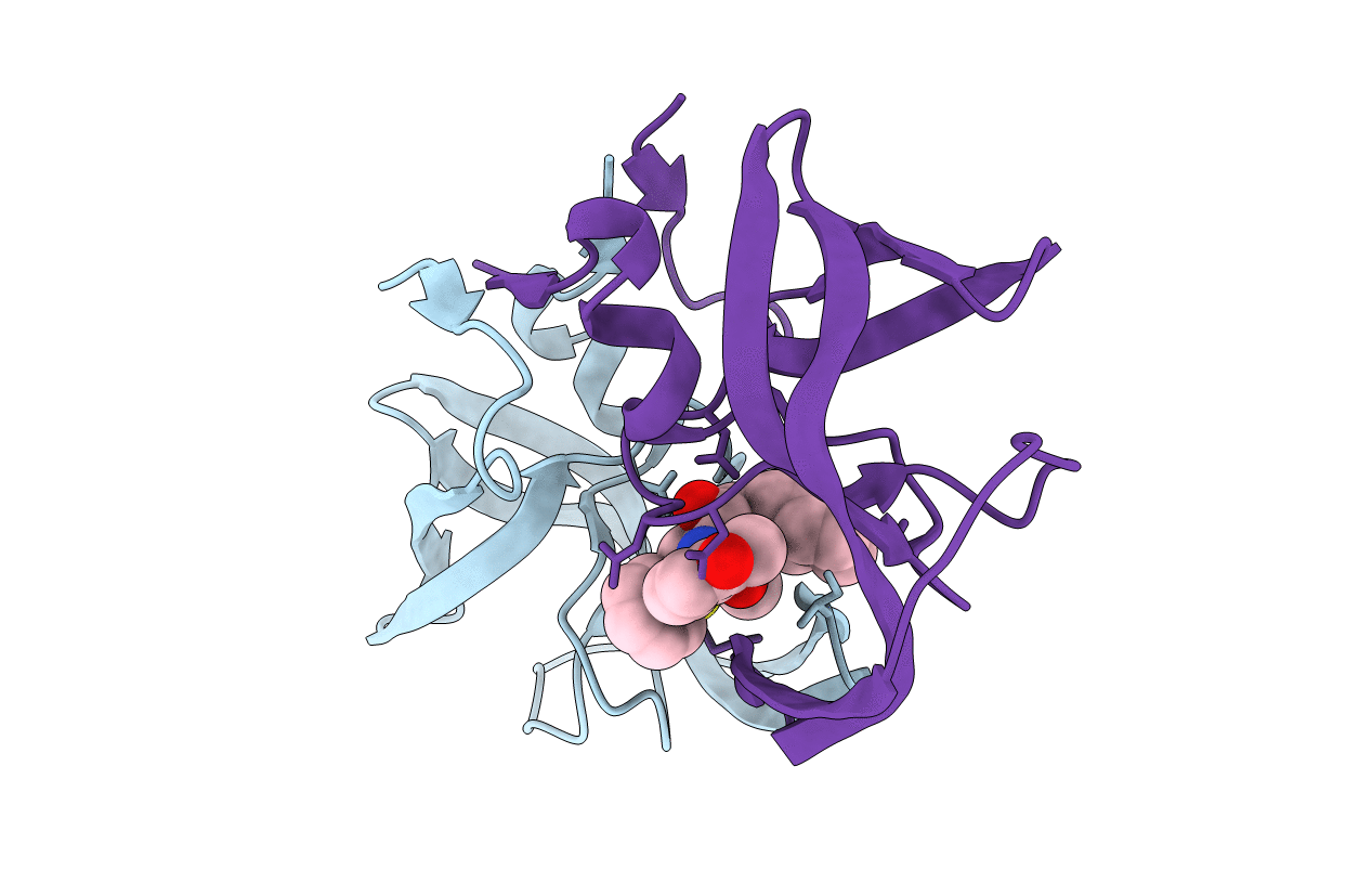 2PYN image