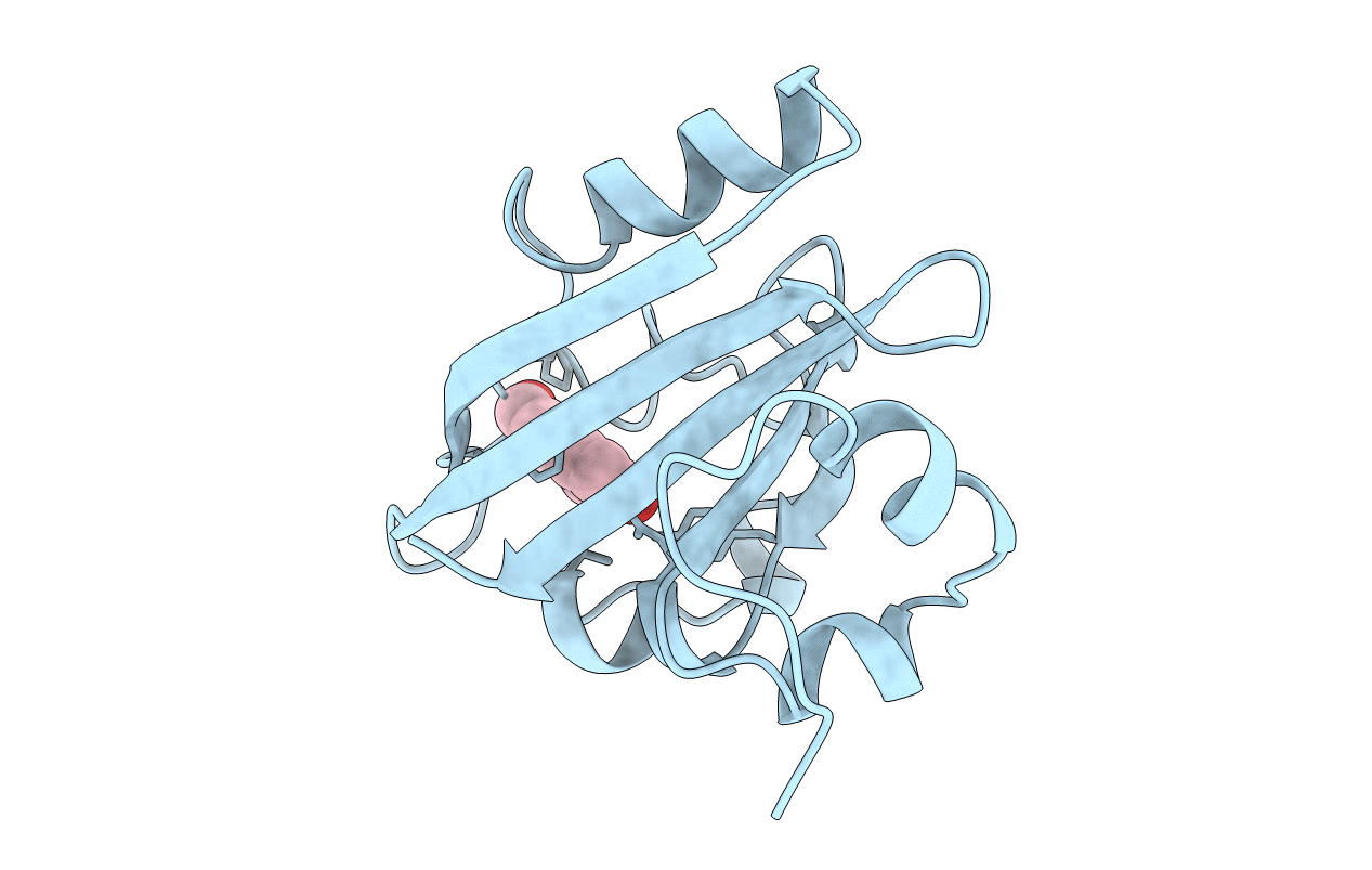 2PYR image