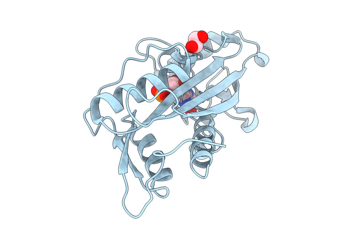 2PYU image