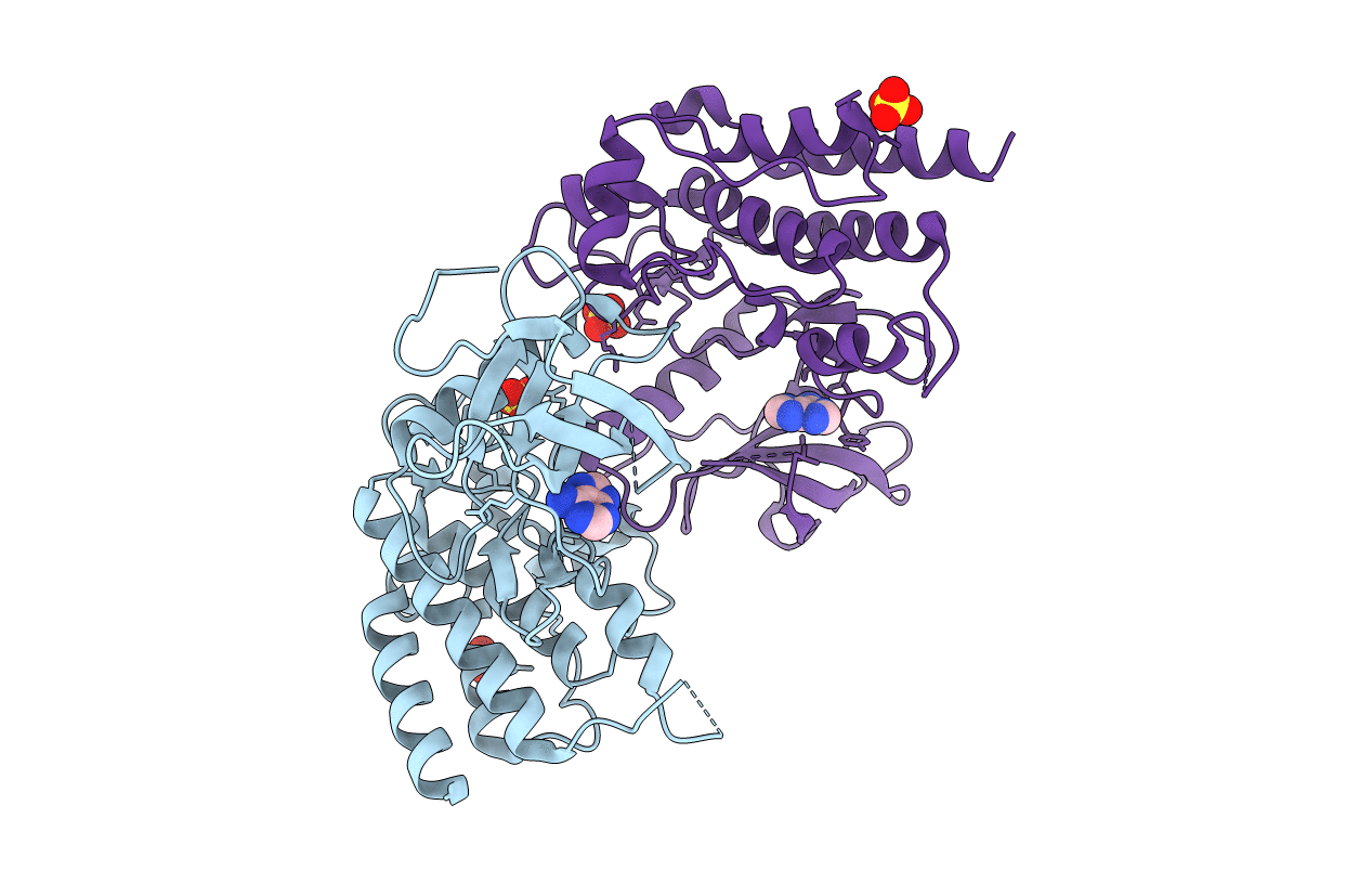 2PZR image