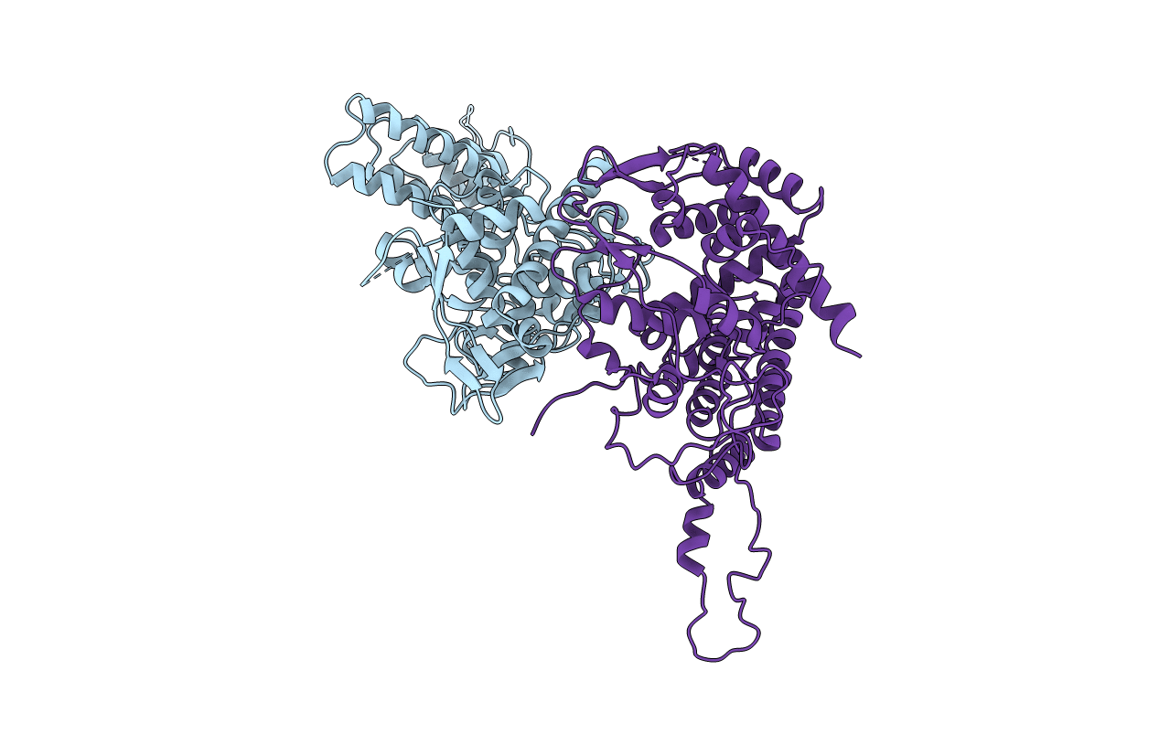 2Q06 image