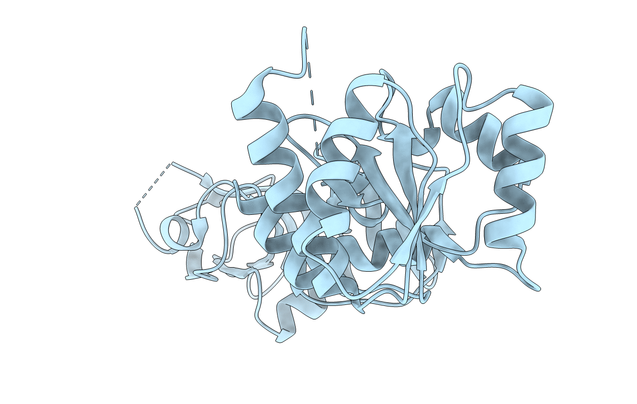 2Q07 image