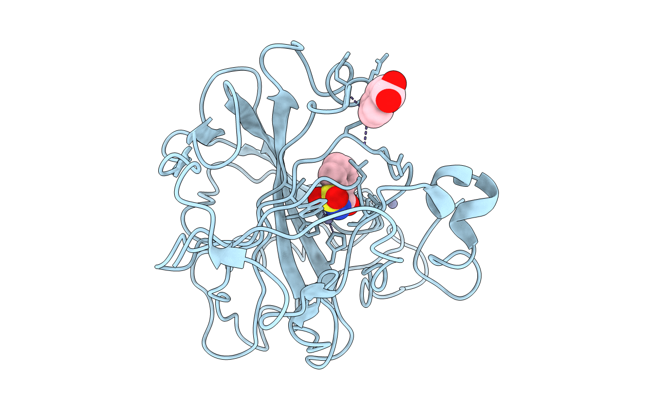 2Q1B image