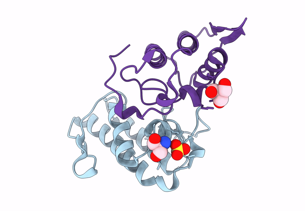 2Q2J image