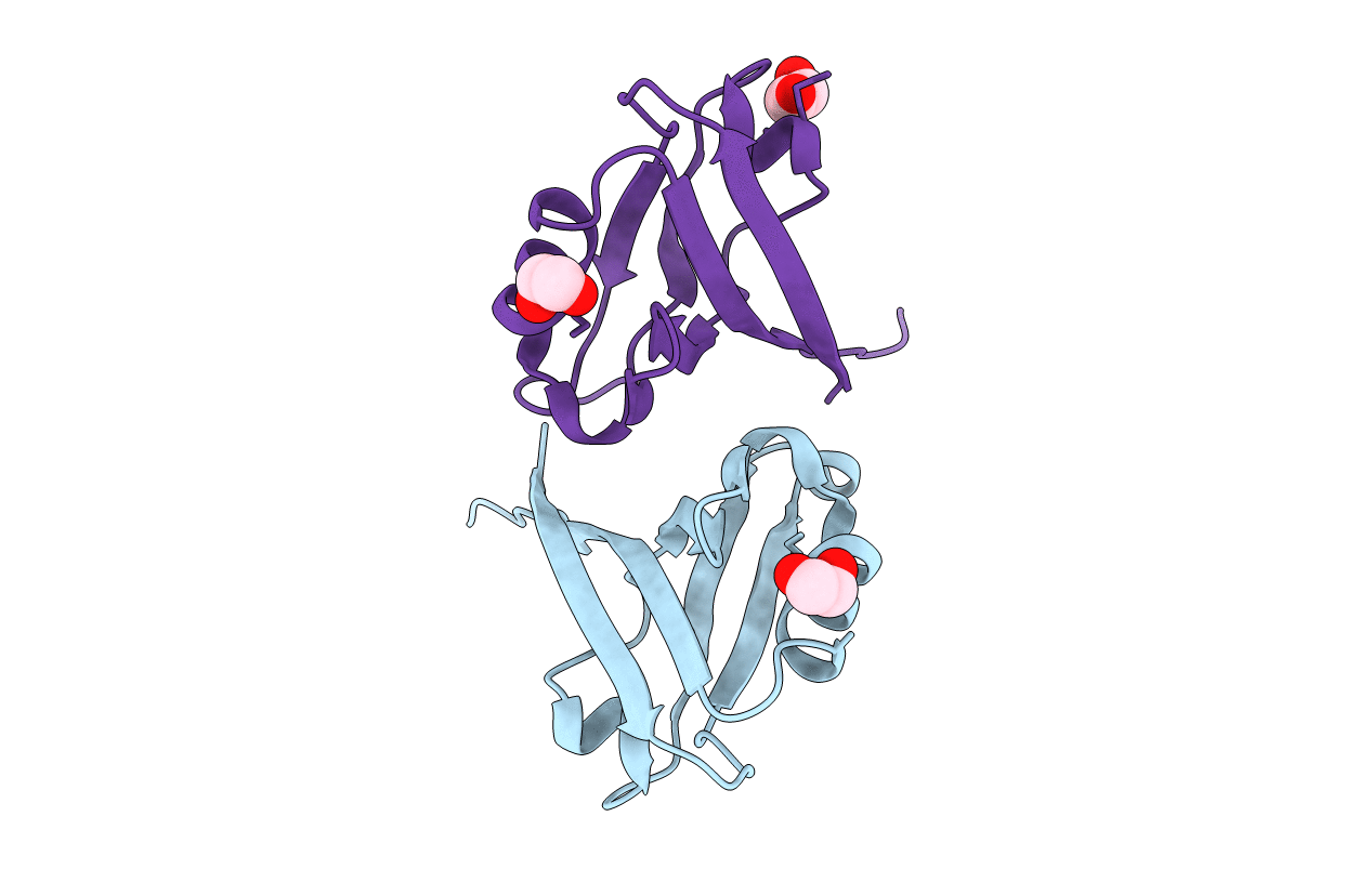 2Q3G image