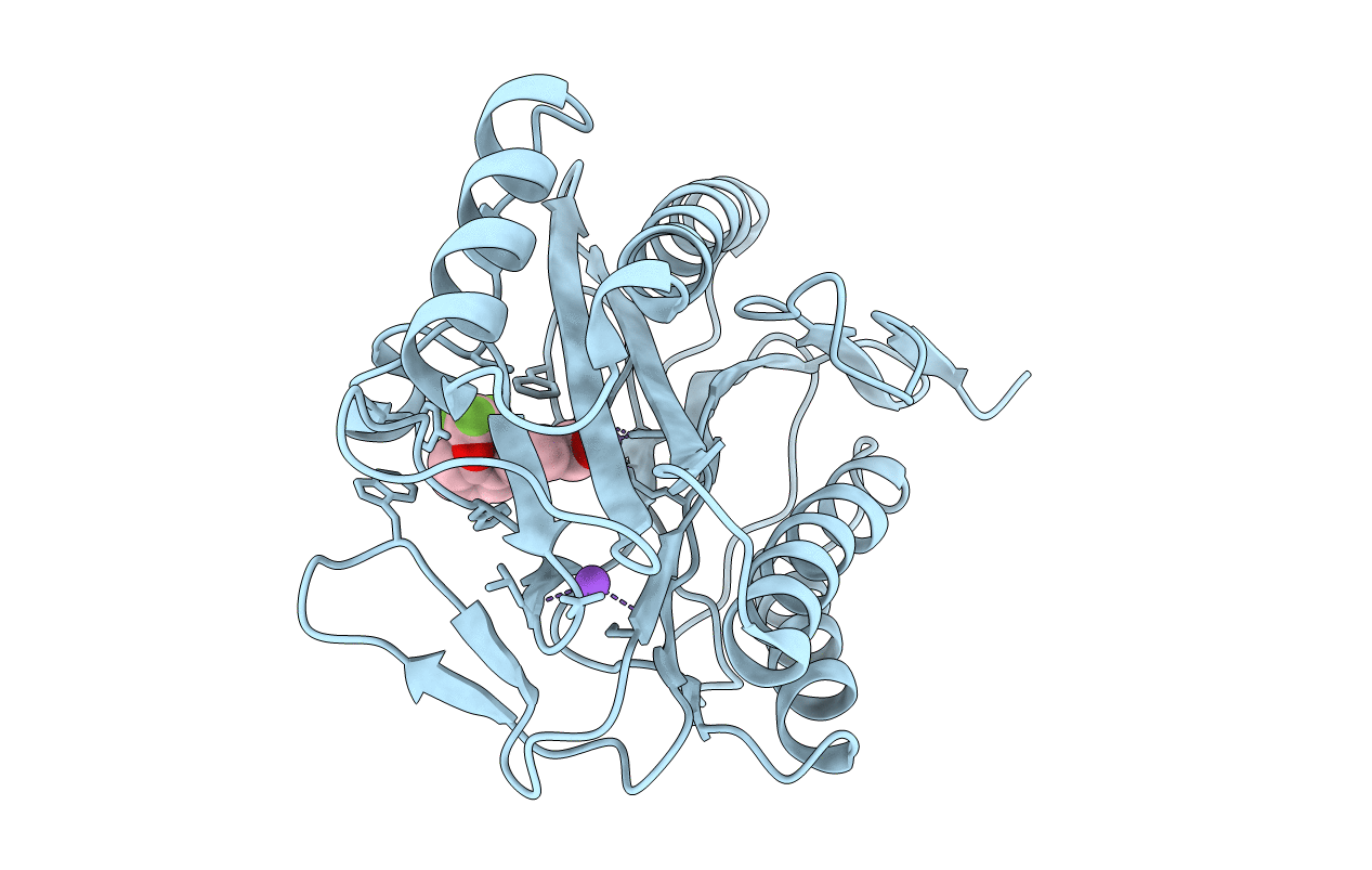 2Q94 image