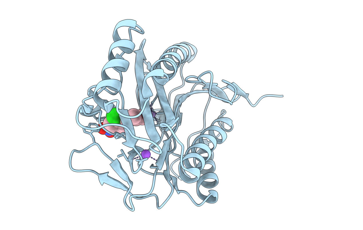 2Q95 image