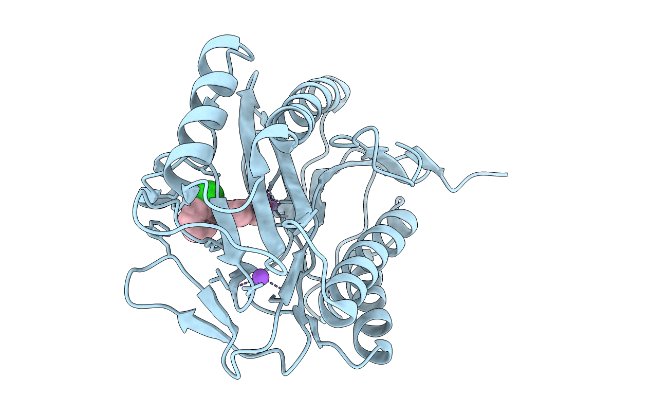 2Q96 image