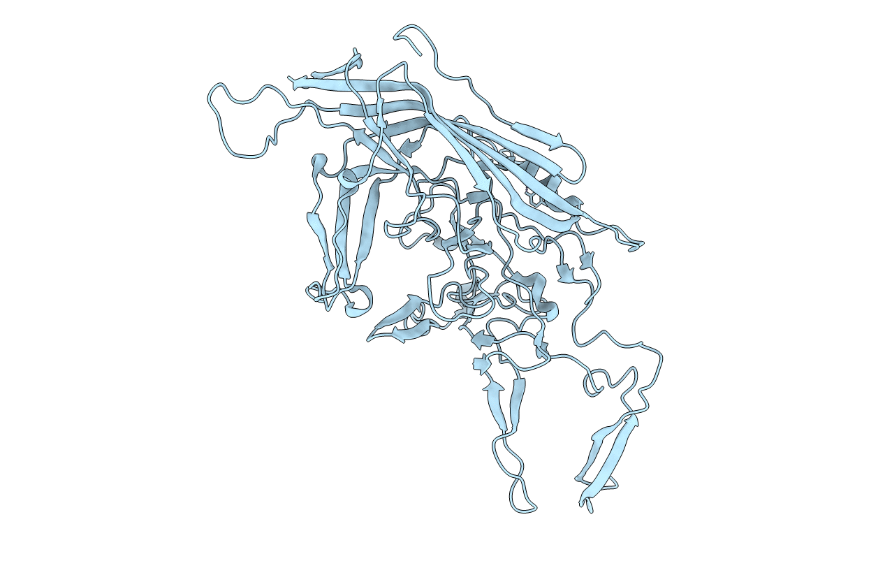 2QA0 image
