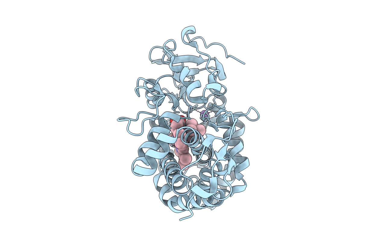 2QBL image