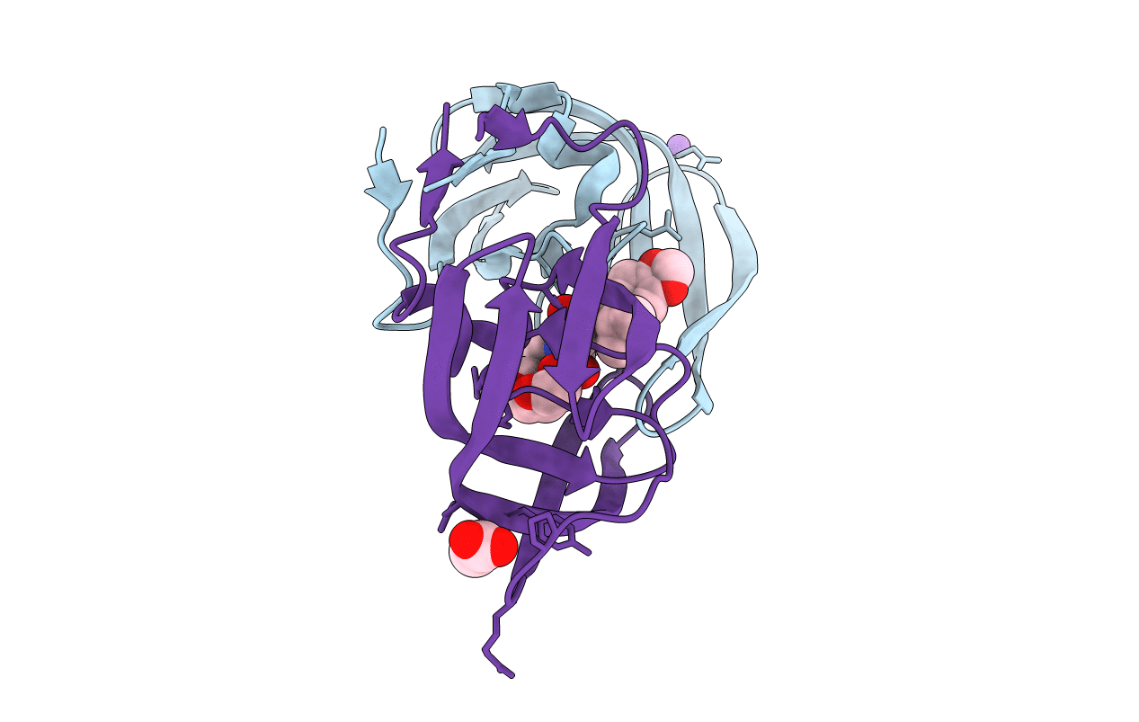 2QCI image