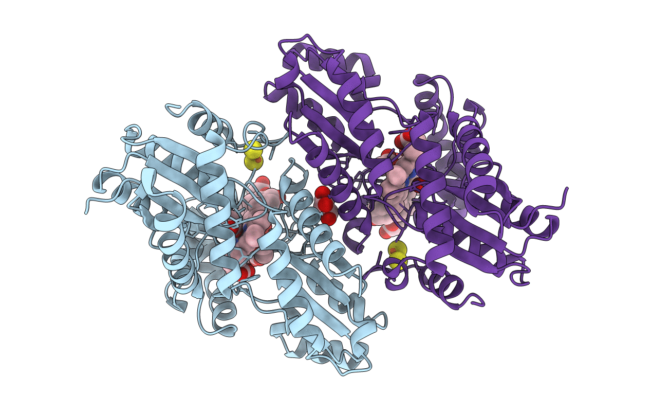 2QD5 image