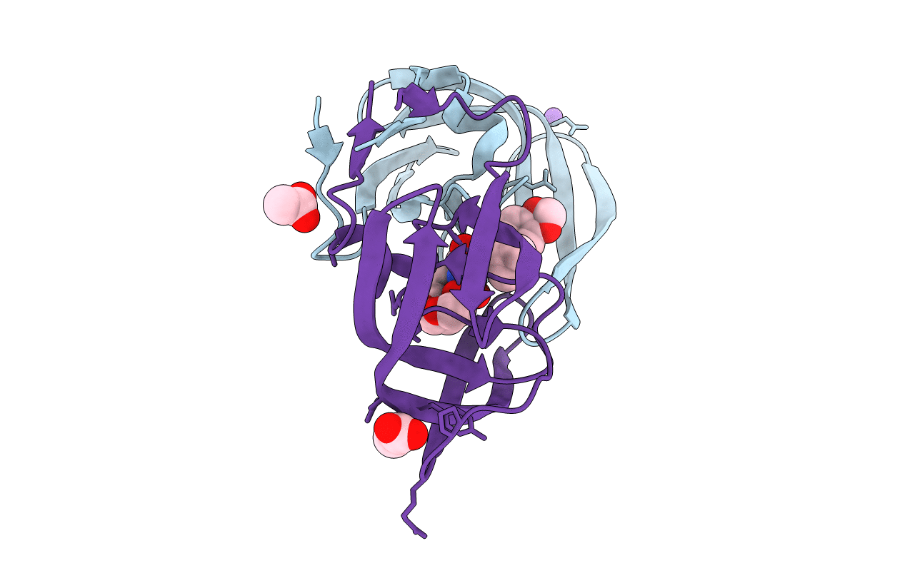 2QD6 image