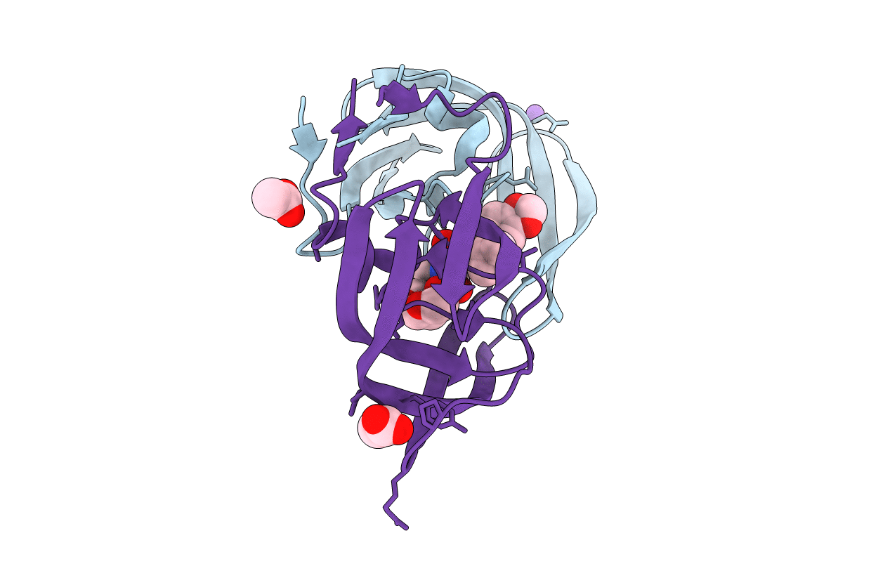 2QD8 image