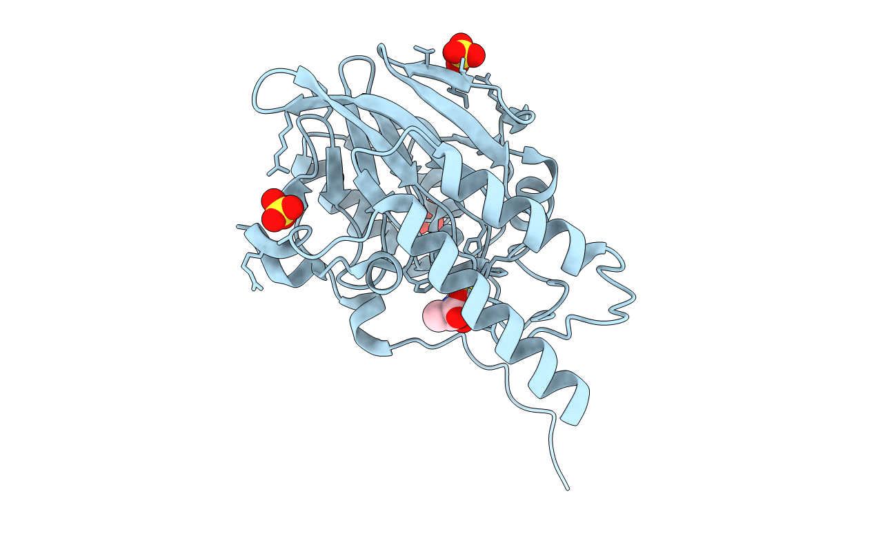 2QDT image
