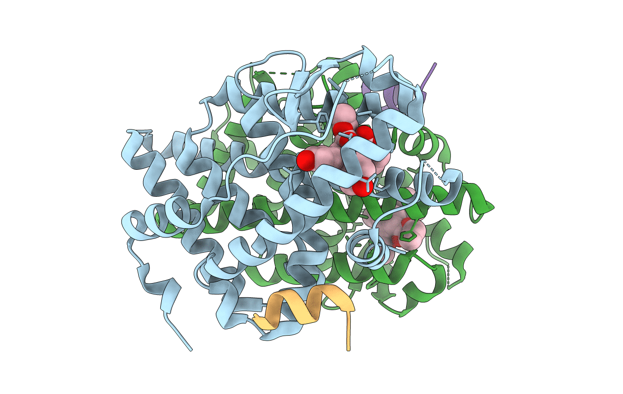 2QH6 image